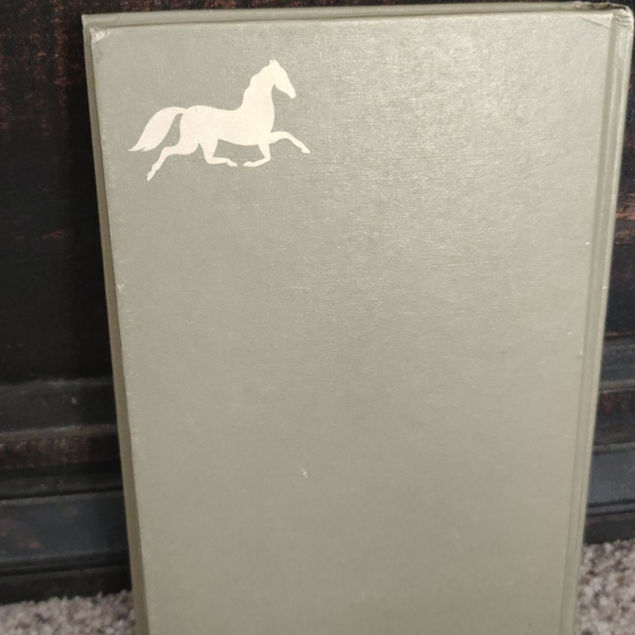 Zara - Picture 4 of 4